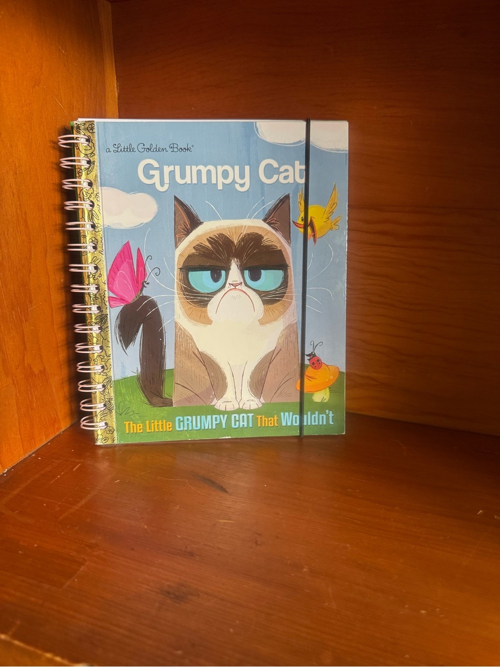Re-Paged Little Golden Book-Spiral Notebook